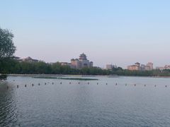 -莲花池公园