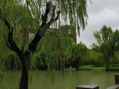 -华东政法大学(松江校区)