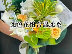 -淘花源花艺鲜花店 开业花篮 绿植(南部商务区店)