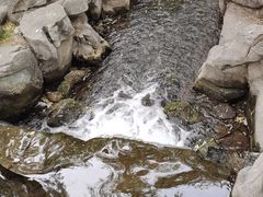 -百脉泉景区