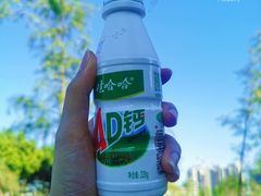-王借岗森林公园