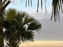 -大梅沙海滨公园-停车场