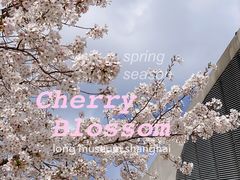 -龙美术馆(西岸馆)