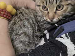 -美联众合动物医院·24h转诊中心