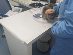 -宠颐生动物医院·心脏科·保险定点(锦阳分院)