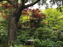 -常寂光寺