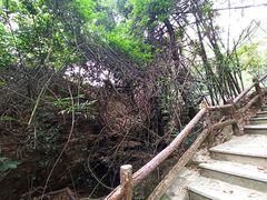 -广州市白云山风景名胜区