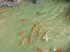 -宜兴隆家宴·私房菜(泰安华庭店)