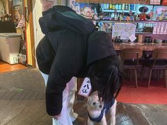 -拉面莊夢語＆中华料理八椿