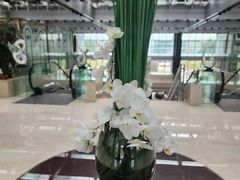 -广州白云机场雅高铂尔曼大酒店