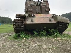 -铁山坪森林公园