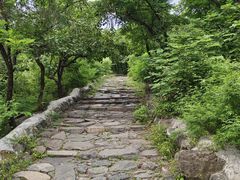 -阳台山自然风景区