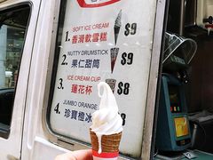 -富豪雪糕车流动点(尖沙咀店)