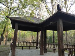 -塘沽森林公园