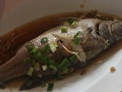 -优游吧斯邹族文化部落