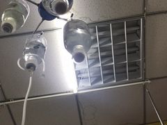 -和彩放题(渔阳店)