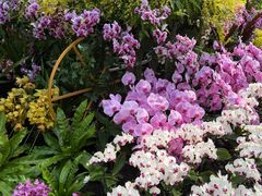 -北京植物园-展览温室