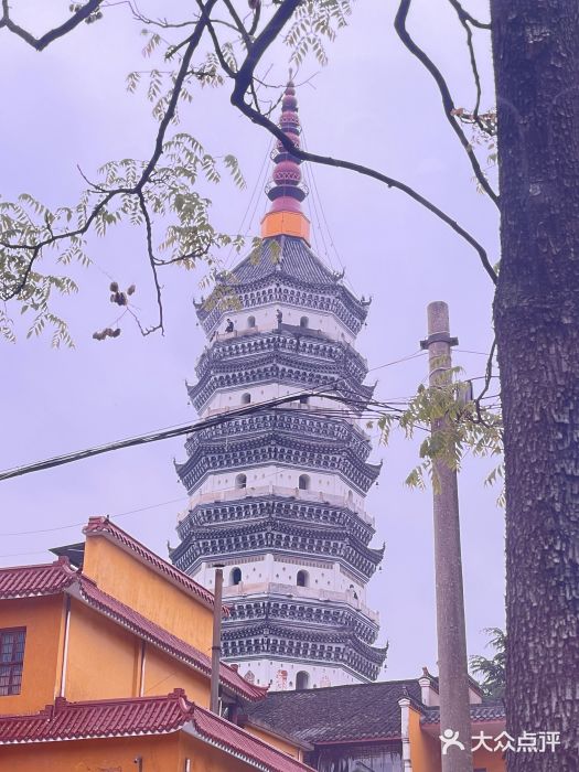 迎江寺图片
