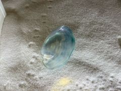 -青岛贝壳博物馆