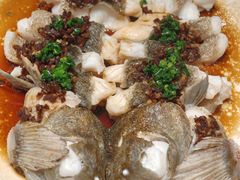 十五年老菜脯蒸河源野生笋壳鱼-天宝兄弟(前海壹方城店)