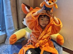 -上海嘉定喜来登酒店