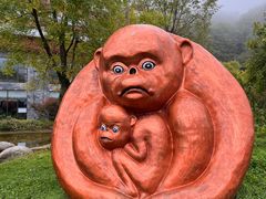 -青峰峡国家森林公园