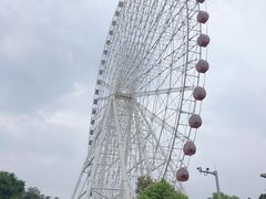 -凤岭儿童公园
