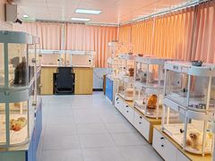 -翊宠yipet猫狗购宠庄园犬舍•猫舍