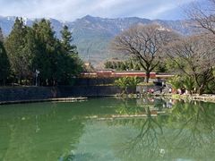 -崇圣寺三塔文化旅游区