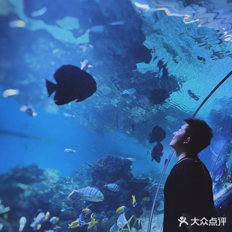 这个夏天这样玩｜大连老虎滩海洋公园攻略