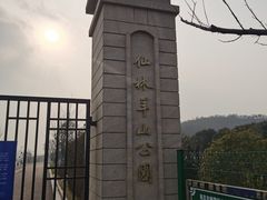 -羊山湖公园