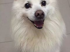 -水晶之星洗浴温泉汗蒸