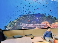 -抱抱地球咖啡馆(国家海洋博物馆店)