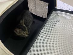 -阿荣24H宠物医院·综合型转诊中心·CT·核磁影像中心
