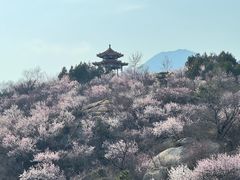 -白水寺森林公园