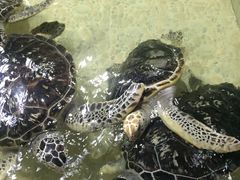-常州海昌海洋探索馆