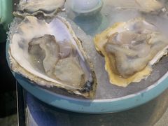 -探窝·竹笙椰子鸡(杨箕店)