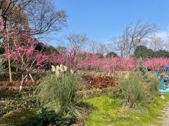 -茅山东方盐湖城景区