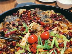 -老板恋上鱼(恒隆广场店)