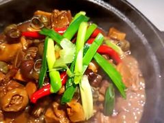 -鸽小宝(深圳首店)