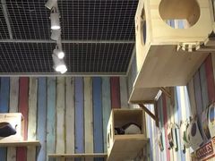 -小时光咖啡馆(开森度假森林店)
