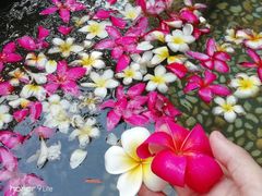 -厦门日月谷温泉渡假村