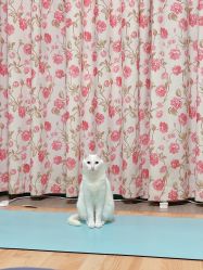 -齐伽生活馆·瑜伽·普拉提·阿育吠陀