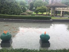 -千岛湖品鱼馆(钓鱼岛店)