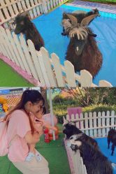 -萌宠亲子动物乐园(槐房万达店)