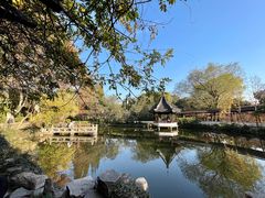 -上海醉白池公园
