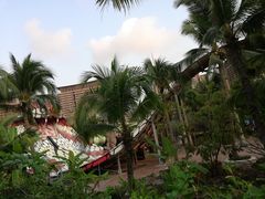 -亚马逊丛林水乐园