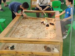 -长洲岛都市农业公园