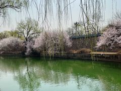 -颐和园
