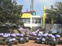 -青岛中山公园-索道售票处